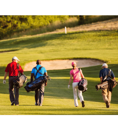 what does handicap mean in golf